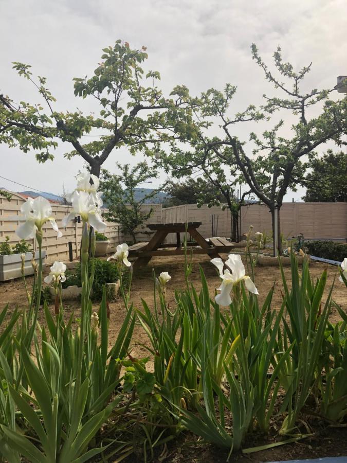 Gorgona Di Thassos Apartment ลิเมนาเรีย ภายนอก รูปภาพ